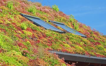 Welsh St Donats living roof systems